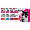 Boehringer Ingelheim Frontline Tri-Act XS (2-5Kg) - Boehringer Ingelheim - Frontline Tri-Act 3 Pipette - 3 Pipette - 2-5 Kg - XS