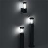Ideal Lux Faretto TRONCO PT1 IDEAL LUX