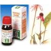 Specchiasol srl Echinacea 59 50ml Tm