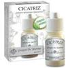 DR.GIORGINI SER-VIS Srl Cicatriz Polvere 10g Giorgini
