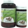 Golden Wave Agaricus 50 90 Maxi Capsule