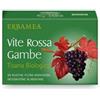 Erbamea Vite Rossa Gambe - Tisana Biologica 20 Filtri