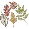 Sizzix Thinlits Die Set 5PK Skeleton Leaves di Tim Holtz