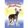 Schatzmix Blechschild Chinesischer Schopfhund Hund Metallschild 20x30 cm Wanddeko Tin Sign Targa di Metallo da Parete, Lamiera, Multicolore