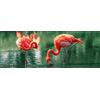 Pro-Art-Bilderpalette PRO-Art gla1134 C murale, Stampe da Parete Arte su Vetro 'Flamingo i' 80 x 30 cm