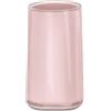 Kleine Wolke Portaspazzolino Mable / 65 x 113 mm/Colore Magnolia, plastica, 6,5 x 6,5 x 11,3 cm