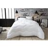 Abeil - Piumone Tendesse, Tessuto: 100% Microfibra, Imbottito., Bianco, 140 x 200