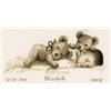 VERVACO Kit Punto Croce Contato Il Bambino Dorme Annuncio Nascita Punto Croce ca. 30 x 16 cm Regalo Personalizzato Set Fai da Te attività Creative Adulti Benvenuto Bambino Cross Stitch