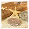 Pro-Art-Bilderpalette PRO-Art gla293a - Quadro da Parete su Vetro Juwelery of The Sea II, 30 x 30 cm