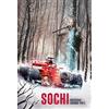 Schatzmix Blechschild Auto Sochi Russian Grand Prix Metallschild Wanddeko 20x30 cm Tin Sign Targa di Metallo da Parete, Lamiera, Multicolore