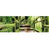 Pro-Art-Bilderpalette PRO-Art g1715s - Decorazione da Parete, Tecnica glicée, 'Mossy Bridge' 90 x 30 cm