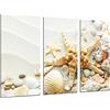 Cuadros Camara Poster Fotografico Sabbia Spiaggia con Stella di Mare Conchiglie Lumache, Bagno, Dimensione totale: 97 x 62 cm XXL