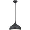 Westinghouse 6329440 Lampada a Sospensione per Interni Monoluce, Bronzo Spazzolato, vetro