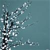 Simon Fairless Chinese Blossom, 40 x 40 cm, Motivo: Impronte in Tela, Colore: Multicolore
