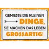 Schatzmix Blechschild Spruch Genieße Die kleinen Dinge Metallschild 20x30 Deko Tin Sign Targa di Metallo da Parete, Lamiera, Multicolore, 20x30 cm