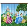 AG Design Tende - Disney Princesse - Tende per Camera Bambini - Stampa Foto 3D - 180 x 160 cm - 2 Parti - FCSXL 4319