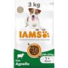 IAMS Cibo secco per cani adulti piccola/media con agnello, 3 kg