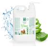 MENFORSAN Shampooing Men for San Chien Aloe Vera (5 L)