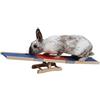 Kerbl Pet Agility Rocker 60x18x12 cm