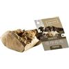 Chewies Radice da masticare per cani - giocattolo da masticare in radice di albero - senza schegge e 100% naturale - per una lunga durata - taglia M