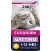 Eukanuba Crocchette Gattini con Pollo Fresco, 2 kg | Cibo secco premium per gattini | Alimento per la crescita | Con omega 3 e 6