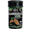 Haquoss Gammarus Mangime Naturale in Gamberetti Essiccati per Tartarughe Acquatiche, 100 ml/10 gr