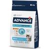 Advance Kitten - Cibo per Gattini con Pollo e Riso - 1.5kg