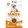 IAMS Cibo secco per cani anziani di taglia grande con pollo, 3 kg