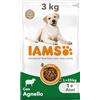 IAMS Cibo secco per cani adulti taglia grande con agnello, 3 kg