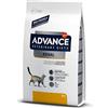 Advance Veterinary Diets - Renal - Cibo per Gatti con Insufficienza Renale - 8kg