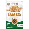 IAMS Cibo secco per gatti con agnello - Cibo secco per gatti da 1-6 anni, 1,5 kg