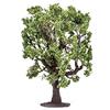 Hornby Quercia