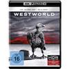 Warner Bros. (PLAION PICTURES) Westworld - Staffel 2