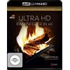 AL!VE AG Kaminfeuer (4K Ultra-HD) [Blu-ray]
