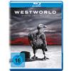 WARNER BROS Westworld: Staffel 02 / Das Tor