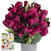 SNAIL GARDEN 27 Pcs Tulipani Artificiali,Tulipani di Seta con 1 Biglietto di Auguri,per Matrimonio, Casa, Feste, Festival, Composizioni Floreali (Viola)