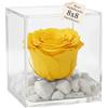 Premium-rose.com Festa della mamma OneFlower by PREMIUM ROSE - Cubo Rosa Stabilizzata Gialla 8 cm con Marmo di Carrara - Rosa Eterna Stabilizzata Made in Italy - Idea regalo - Giallo A 1083