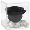 Premium-rose.com PREMIUM ROSE - Cubo Rosa Stabilizzata Nera 8 cm con Marmo di Carrara - Rosa Eterna Stabilizzata Made in Italy - Idea per Occasioni Formali e Chi ha Stile Dark - Nero A 1087