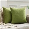 MIULEE Fodere Cuscini per Divano Decorativi in Finto Lino Copricuscini Quadrati per Salotto Letto Matrimoniale Federe Arredo Camera da Letto per Soggiorno Moderna e Elegante 2 Pezzi 50X50 CM Verde
