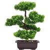Aisamco Bonsai Albero finto Decorazione artificiale in vaso Piante giapponesi Pino Pianta 33 cm di altezza per esposizione decorazione domestica