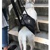 Diyafas Supporto per Cane Imbracatura di Riabilitazione Assistere Sling per Cani Anziano Disabilità Ferito (Grigio, S)