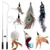 MAIYADUO Giocattolo Gatto Piuma, 5 PCS Assortiti Piuma Cat Giocattolo Interattivo Retrattile Bacchetta Rod con 5 PCS Feather Teaser Cat Catcher - Perfetto Teaser per l'esercitazione Gattino e Gatto