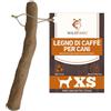 Wildfang® Legno di Caffè Cani, XS - Masticativo Resistente per Masticatori Aggressivi, Gioco per la Dentizione dei Cuccioli, Bastoncini in legno di caffè per cani piccoli (fino a 10 kg), Conf. da 1