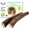 ARTISAN GIFT CO Corno di Cervo per Cani, Osso per cani da Masticare 100% Naturale, peso minimo Confezione 70gr. (XS - 2 pz.)