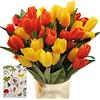 SNAIL GARDEN Set di 36 Tulipani Artificiali,Tulipani in Seta,Fiore Finto Tulipano con 1 Biglietto di Auguri per Matrimonio,Casa,Festa,Festival,Composizioni Floreali,Bouquet da Sposa(Rosso/Giallo)
