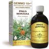 Dr Giorgini Integratore Alimentare, Pino Montano Gemmoderivato Concentrato Liquido Analcoolico - 500 ml