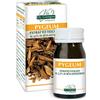 Dr Giorgini Integratore Alimentare, Monocomponenti Erbe Pygeum Estratto Titolato al 2,5% in Beta-Sitosteroli Pastiglie - 30 g