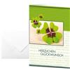 Sigel DS004 - Biglietto di auguri motivo Fortuna, 17 x 11,5 cm, 10 pezzi, include buste bianche