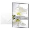 Sigel DS006 - Biglietto di condoglianze, motivo "Amarillide bianco", 17 x 11,5 cm, 10 pezzi, include buste bianche
