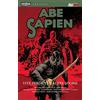 Magic Press Vite perdute e altre storie. Abe Sapien (Vol. 9)